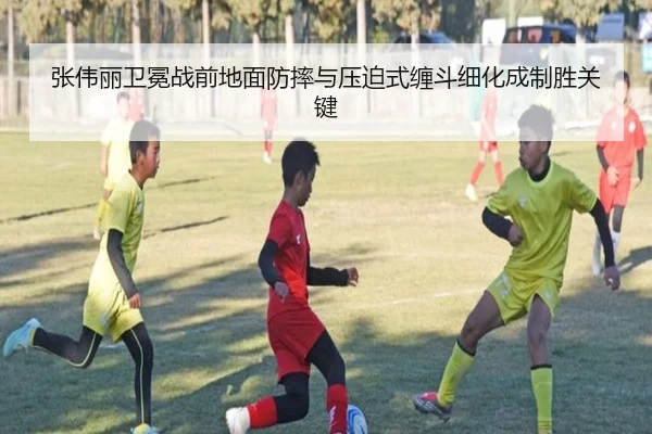 张伟丽卫冕战前地面防摔与压迫式缠斗细化成制胜关键